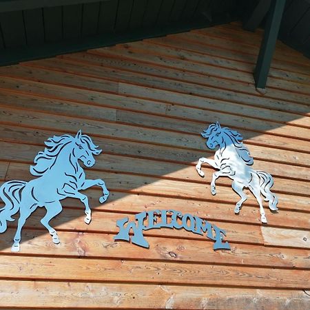 فيلا Wild Life Ranch Schöfweg المظهر الخارجي الصورة