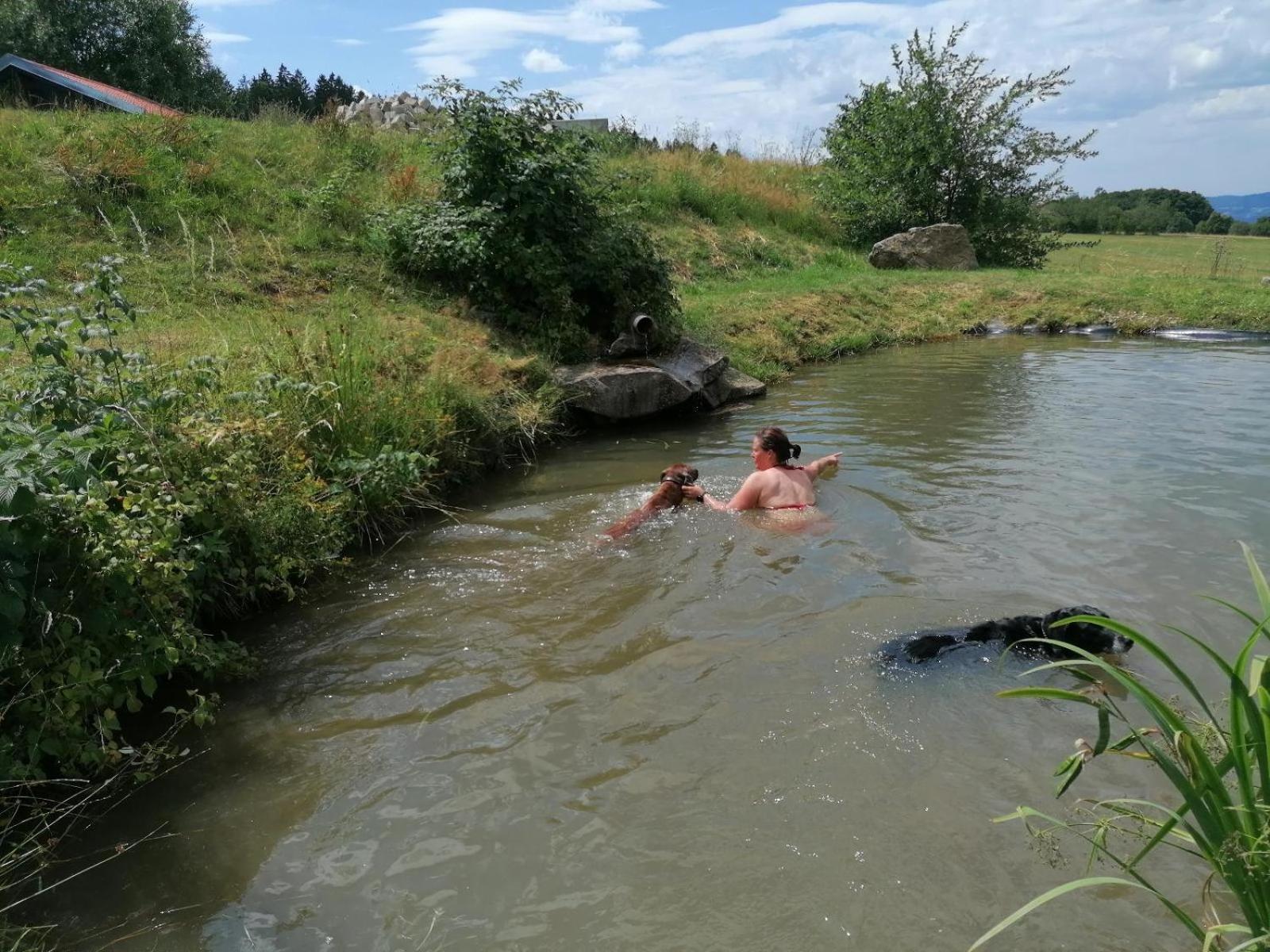 فيلا Wild Life Ranch Schöfweg المظهر الخارجي الصورة