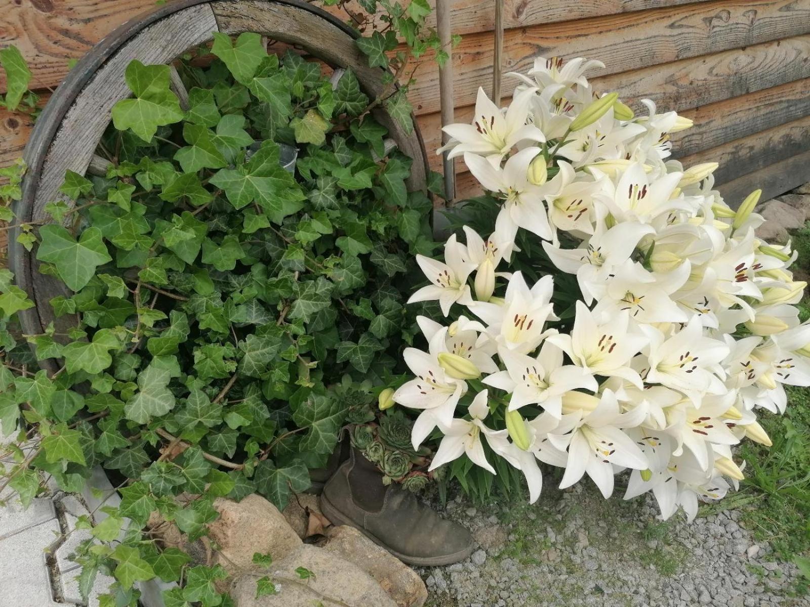 فيلا Wild Life Ranch Schöfweg المظهر الخارجي الصورة